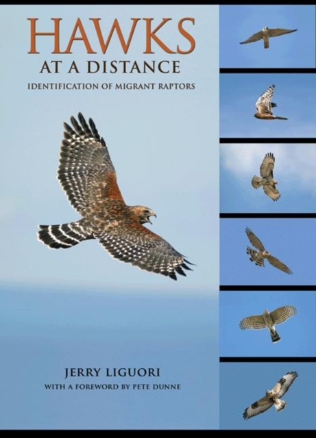 Hawks at a Distance : Identification of Migrant Raptors, Hardback Book