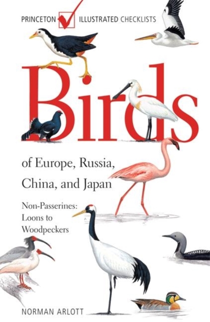 Birds of Europe, Russia, China, and Japan: Non-Passerines: Loons to Woodpeckers, Paperback Book