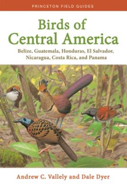 Birds of Central America : Belize, Guatemala, Honduras, El Salvador, Nicaragua, Costa Rica, and Panama, Paperback / softback Book