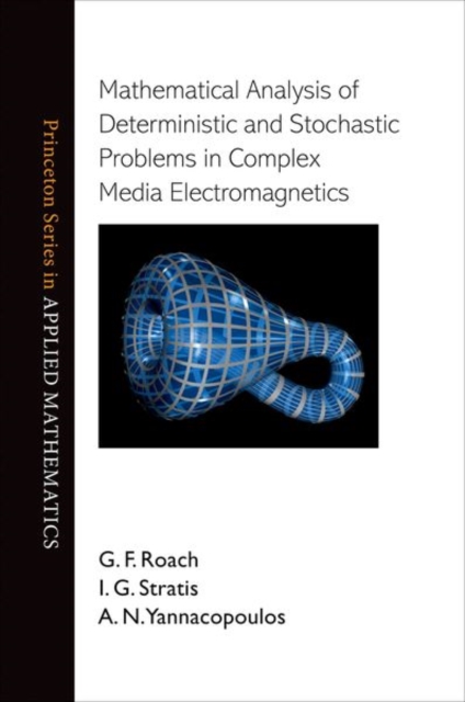 Mathematical Analysis of Deterministic and Stochastic Problems in Complex Media Electromagnetics, Hardback Book