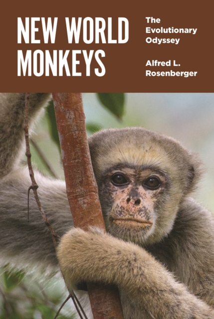 New World Monkeys : The Evolutionary Odyssey, Hardback Book