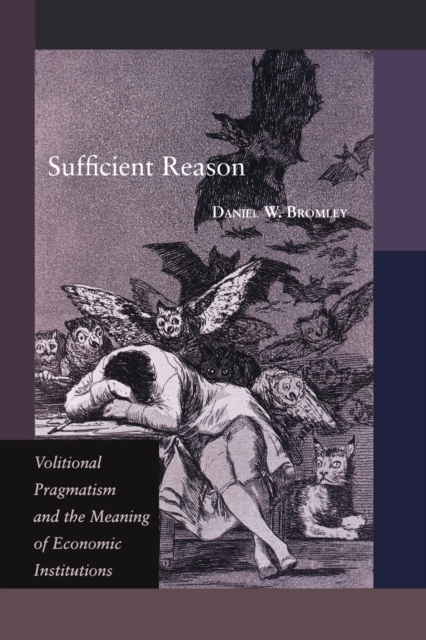 Sufficient Reason : Volitional Pragmatism and the Meaning of Economic Institutions, Paperback / softback Book