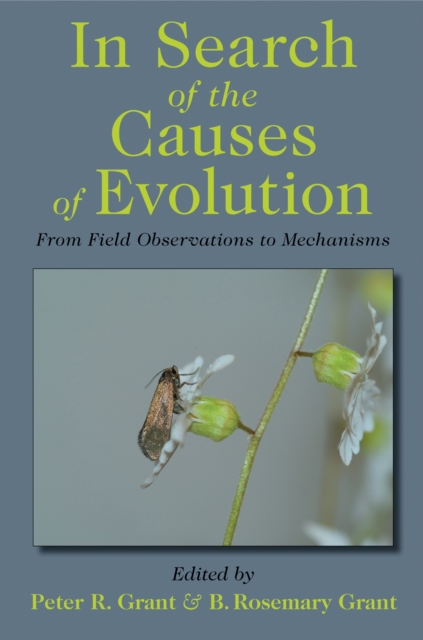 In Search of the Causes of Evolution : From Field Observations to Mechanisms, Paperback / softback Book