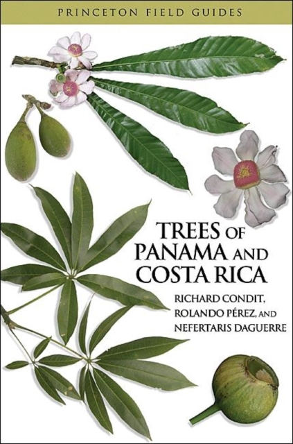Trees of Panama and Costa Rica, Paperback / softback Book