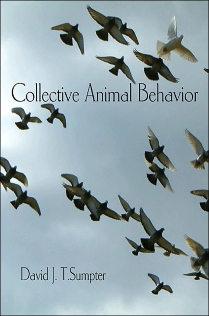 Collective Animal Behavior, Paperback / softback Book