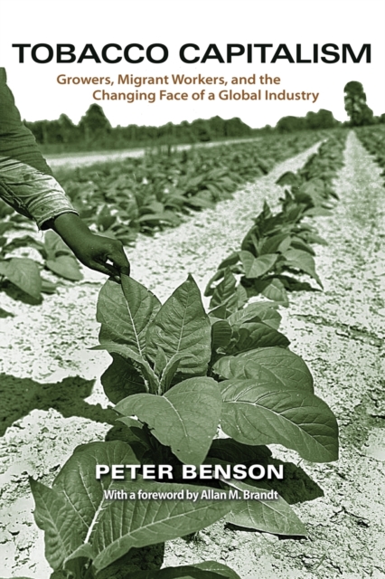 Tobacco Capitalism : Growers, Migrant Workers, and the Changing Face of a Global Industry, Paperback / softback Book