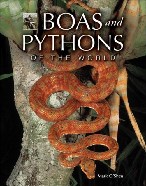 Boas and Pythons of the World, Paperback Book