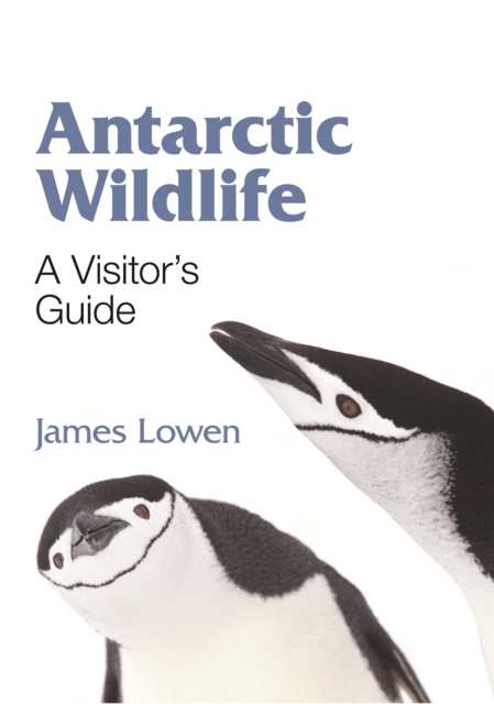 Antarctic Wildlife : A Visitor's Guide, Paperback Book