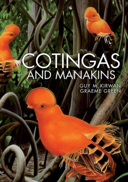 Cotingas and Manakins, Hardback Book