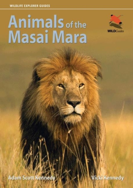 Animals of the Masai Mara, Paperback / softback Book