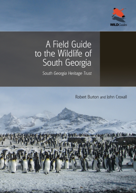 A Field Guide to the Wildlife of South Georgia, Paperback / softback Book