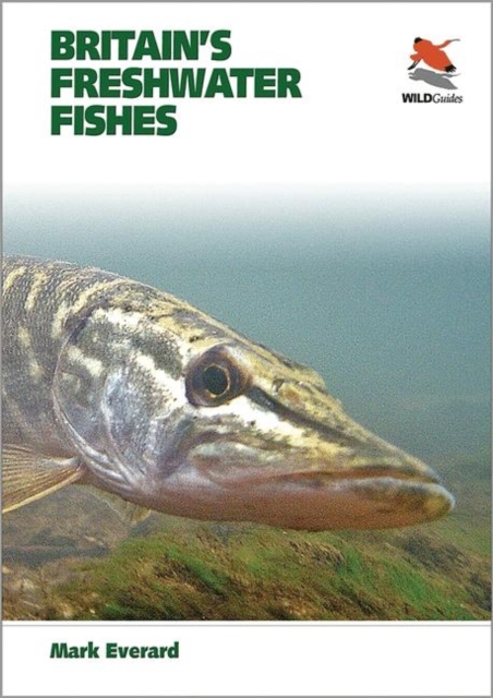 Britain's Freshwater Fishes, Paperback / softback Book