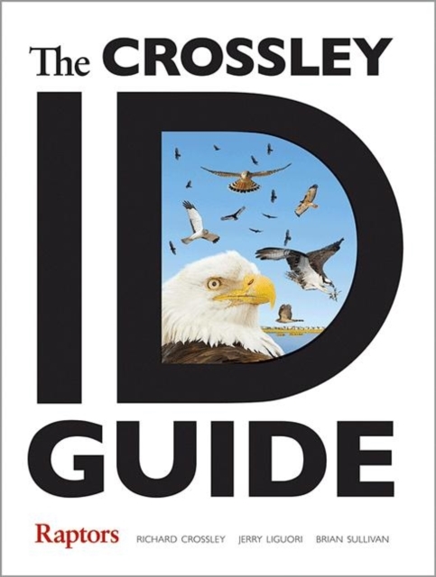 The Crossley ID Guide Raptors, Paperback / softback Book