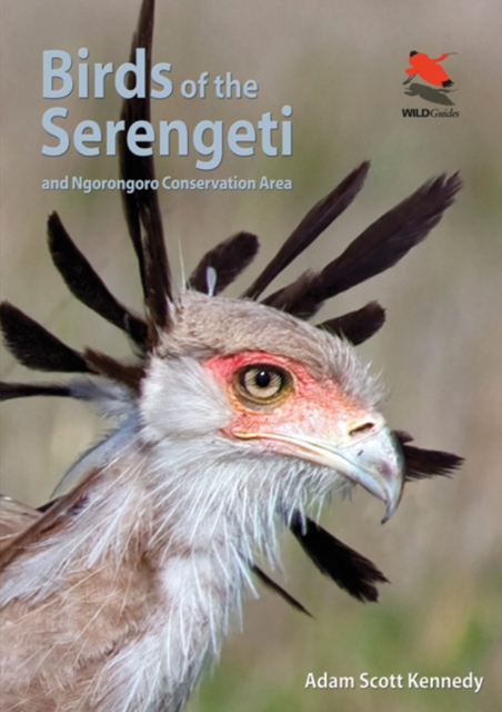 Birds of the Serengeti : And Ngorongoro Conservation Area, Paperback / softback Book