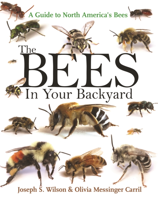 The Bees in Your Backyard : A Guide to North America's Bees, Paperback / softback Book