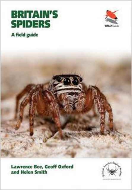 Britain's Spiders : A Field Guide, Paperback / softback Book