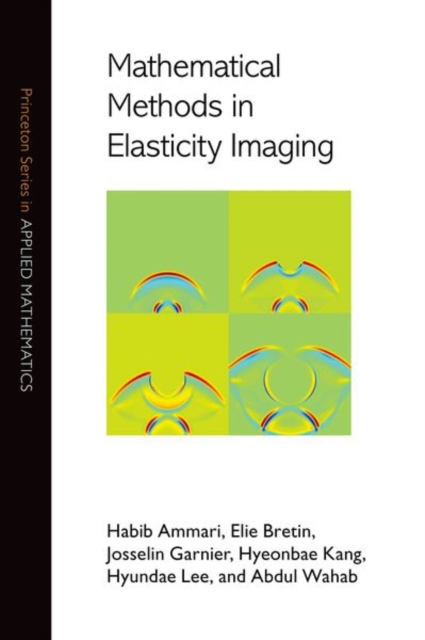Mathematical Methods in Elasticity Imaging, Hardback Book