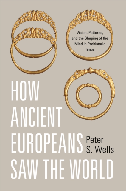How Ancient Europeans Saw the World : Vision, Patterns, and the Shaping of the Mind in Prehistoric Times, Paperback / softback Book