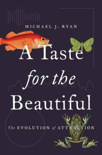 A Taste for the Beautiful : The Evolution of Attraction, Hardback Book