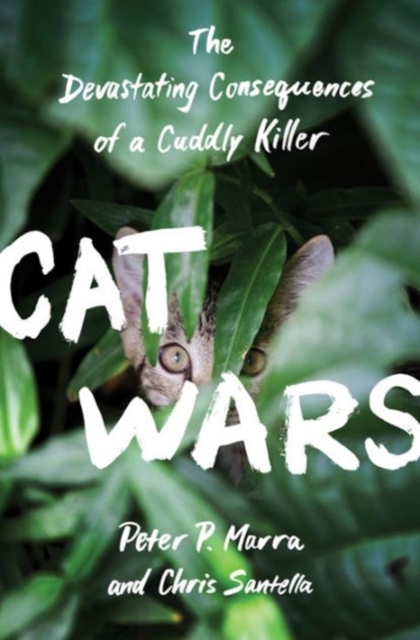 Cat Wars : The Devastating Consequences of a Cuddly Killer, Hardback Book