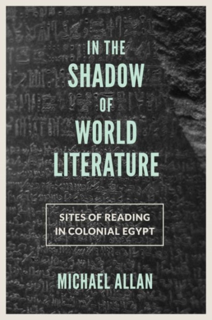 In the Shadow of World Literature : Sites of Reading in Colonial Egypt, Paperback / softback Book