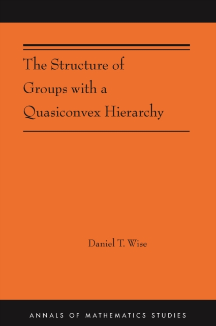 The Structure of Groups with a Quasiconvex Hierarchy : (AMS-209), Hardback Book