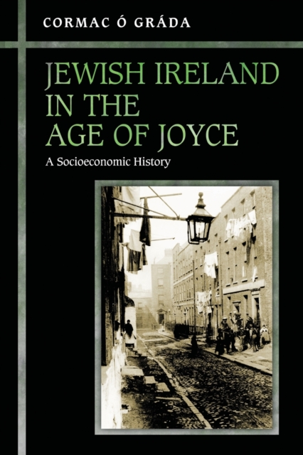 Jewish Ireland in the Age of Joyce : A Socioeconomic History, Paperback / softback Book