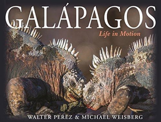 Galapagos : Life in Motion, Hardback Book