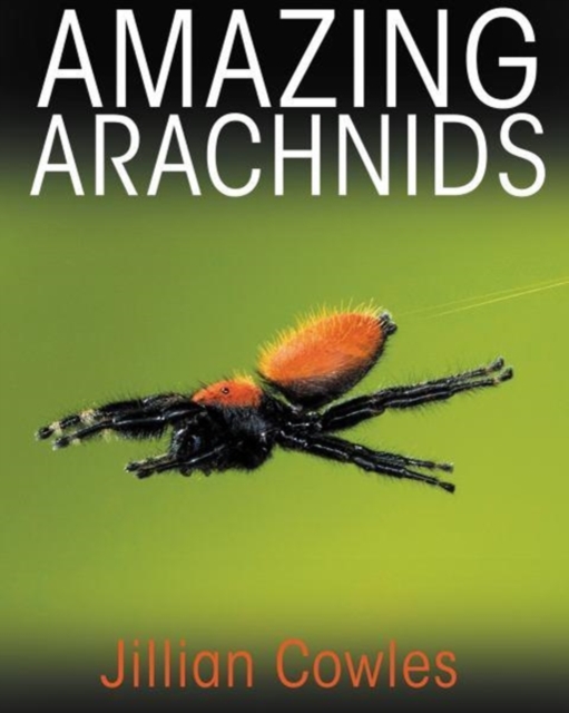 Amazing Arachnids, Hardback Book