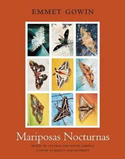Mariposas Nocturnas : Moths of Central and South America, A Study in Beauty and Diversity, Hardback Book