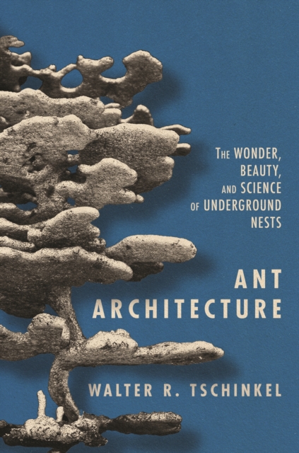 Ant Architecture : The Wonder, Beauty, and Science of Underground Nests, Hardback Book