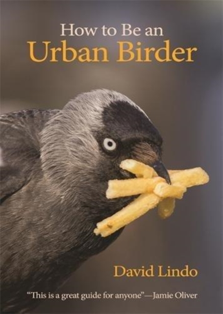 How to Be an Urban Birder, Paperback / softback Book
