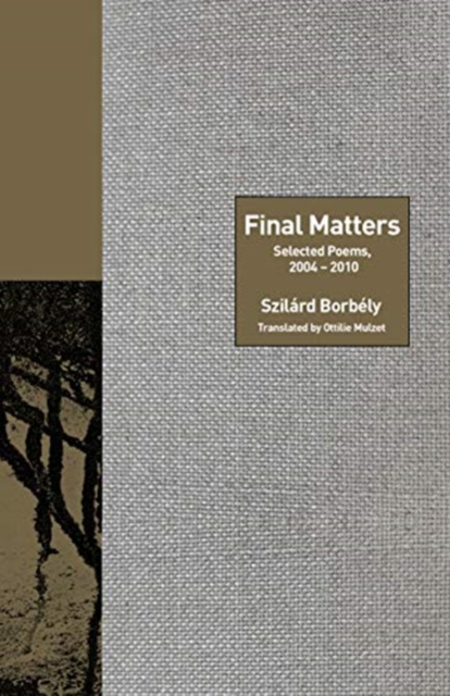 Final Matters : Selected Poems, 2004-2010, Hardback Book