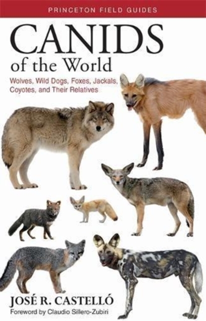 Canids of the World : Wolves, Wild Dogs, Foxes, Jackals, Coyotes, and Their Relatives, Hardback Book