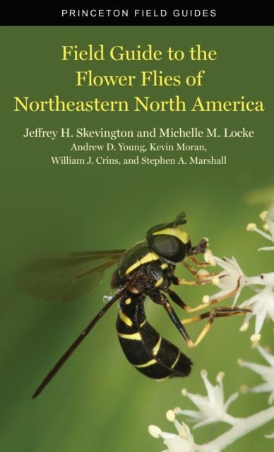 Field Guide to the Flower Flies of Northeastern North America, PDF eBook
