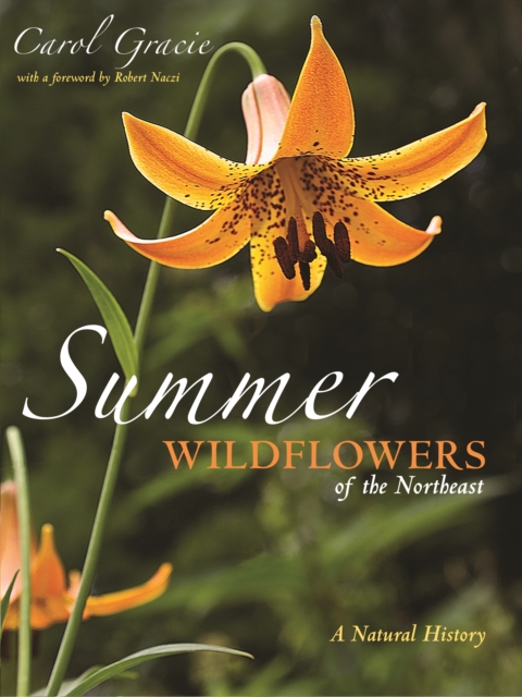 Summer Wildflowers of the Northeast : A Natural History, Paperback / softback Book