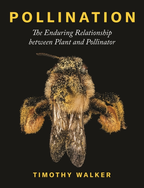 Pollination : The Enduring Relationship between Plant and Pollinator, Hardback Book