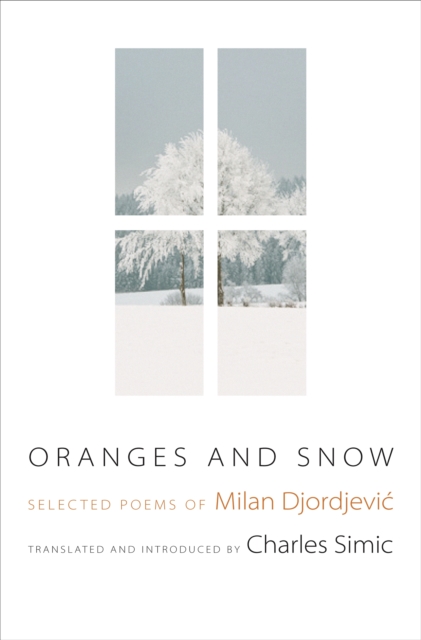 Oranges and Snow : Selected Poems of Milan Djordjevic, Paperback / softback Book