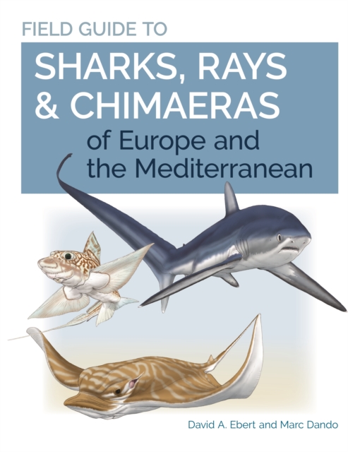 Field Guide to Sharks, Rays & Chimaeras of Europe and the Mediterranean, Paperback / softback Book