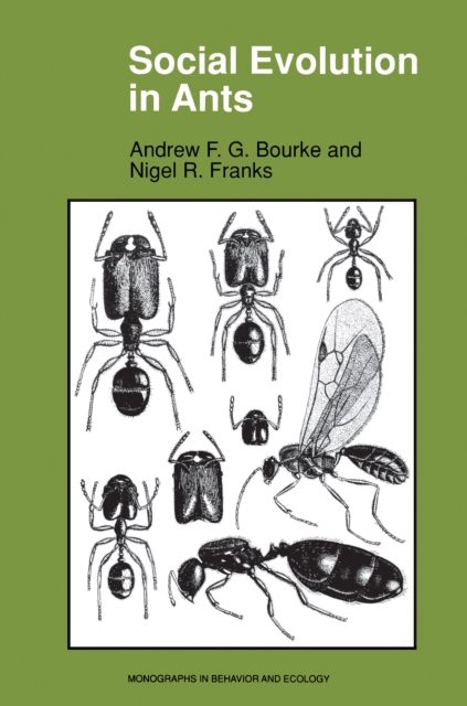 Social Evolution in Ants, PDF eBook