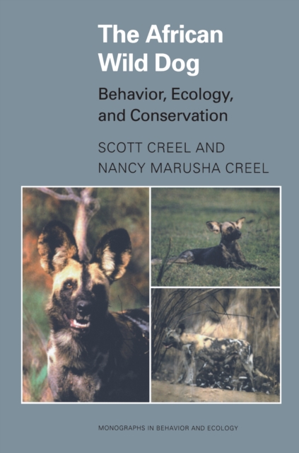 The African Wild Dog : Behavior, Ecology, and Conservation, PDF eBook