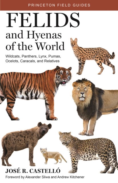 Felids and Hyenas of the World : Wildcats, Panthers, Lynx, Pumas, Ocelots, Caracals, and Relatives, Hardback Book