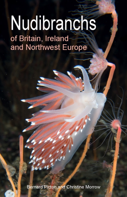 Nudibranchs of Britain, Ireland and Northwest Europe : Second Edition, Paperback / softback Book