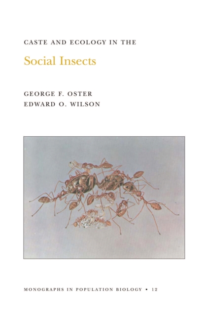 Caste and Ecology in the Social Insects. (MPB-12), Volume 12, PDF eBook