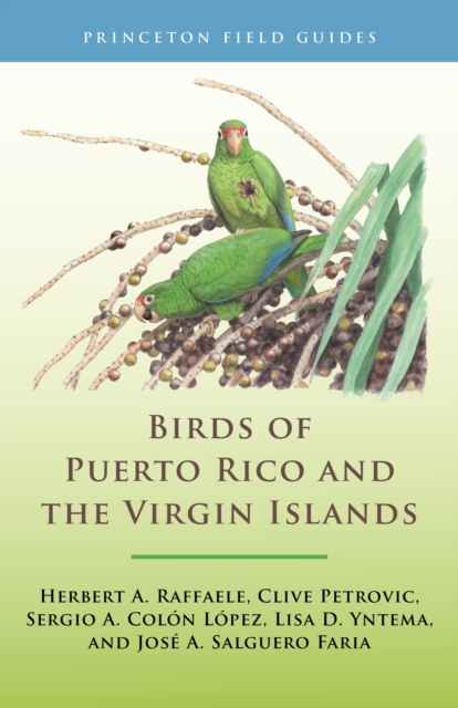 Birds of Puerto Rico and the Virgin Islands : Fully Revised and Updated Third Edition, Paperback / softback Book