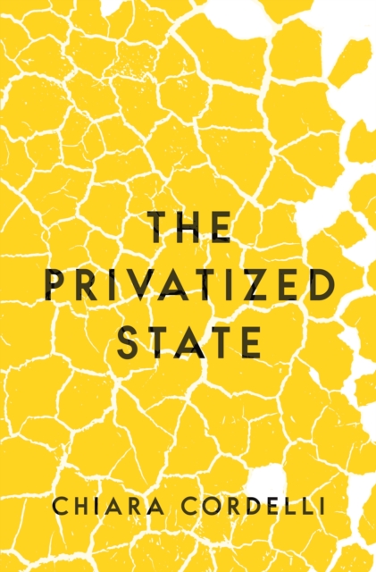 The Privatized State, Paperback / softback Book