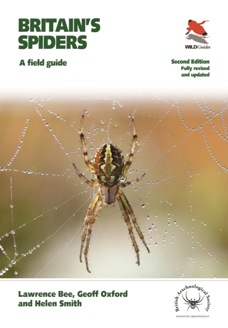 Britain's Spiders : A Field Guide - Fully Revised and Updated Second Edition, PDF eBook