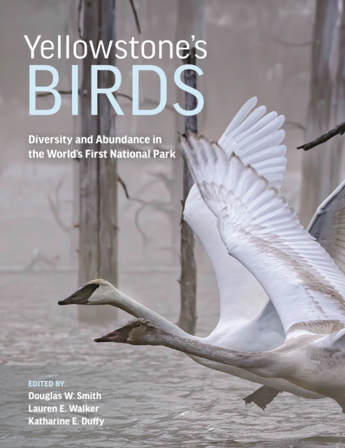 Yellowstone’s Birds : Diversity and Abundance in the World’s First National Park, Hardback Book
