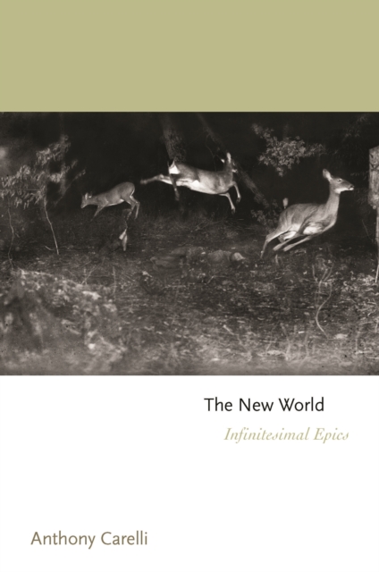 The New World : Infinitesimal Epics, Paperback / softback Book