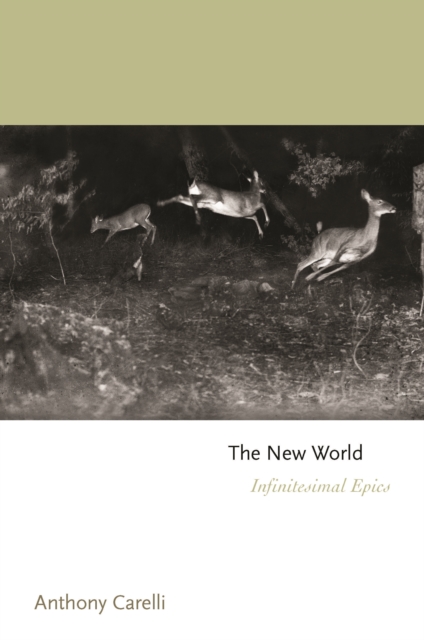The New World : Infinitesimal Epics, Hardback Book